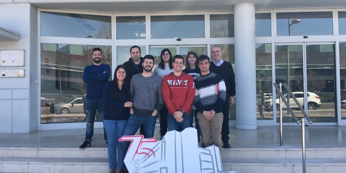 Grupo de investigadores del CIBERONC responsables de este estudio