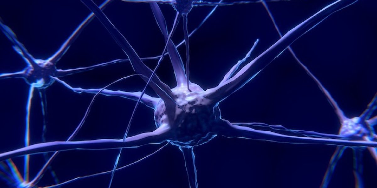 CSIC_neuronas_danadas