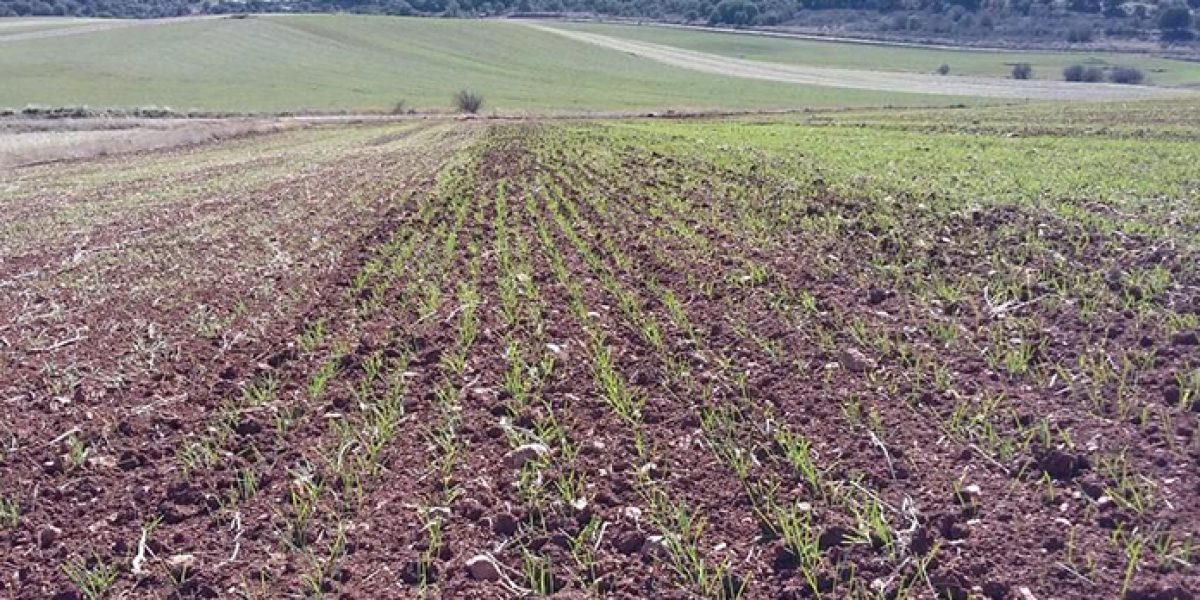 Fertinagro Biotech
