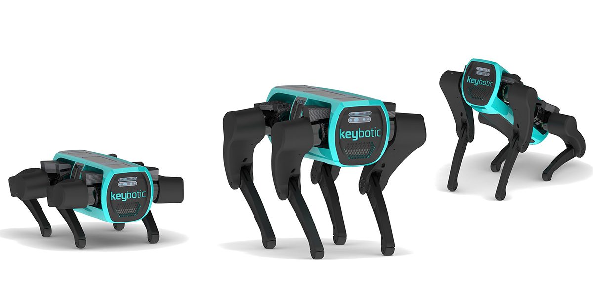 Keybotic Keyper