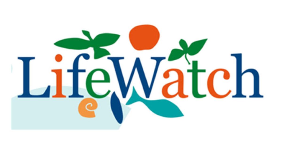 LifeWatch