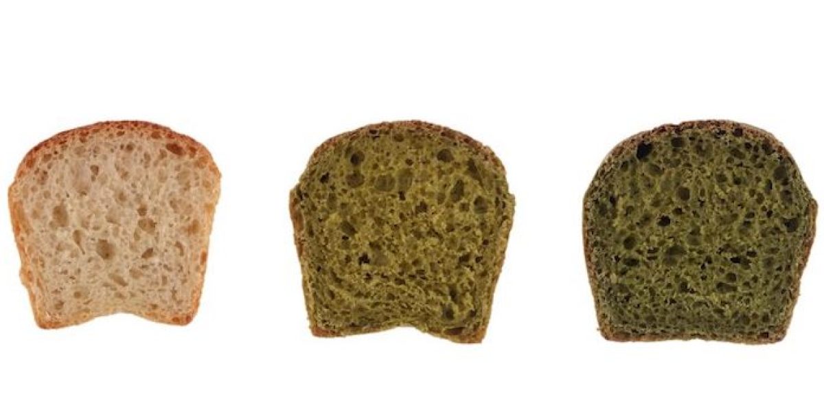 Pan blanco, pan con un porcentaje de microalgas en lugar de harina y pan con una cantidad de biomasa de alga mayor.