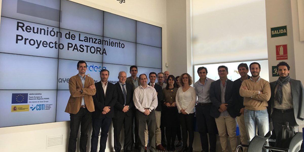 Proyecto Pastora Endesa