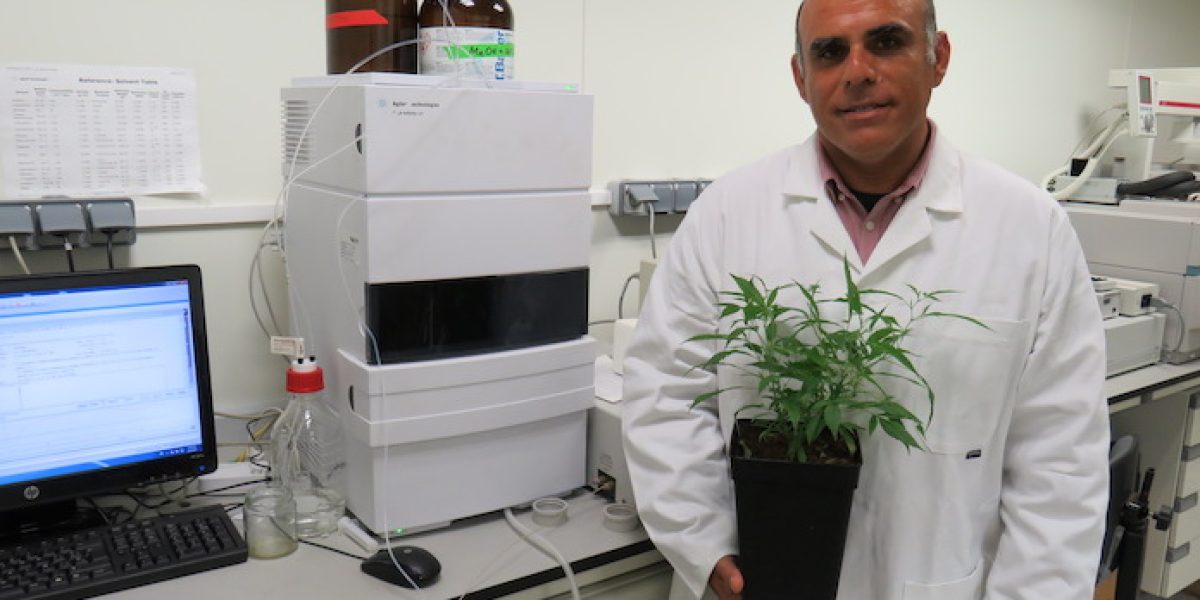 Salvador Soler, investigador de Instituto COMAV de la Universitat Politècnica de València.