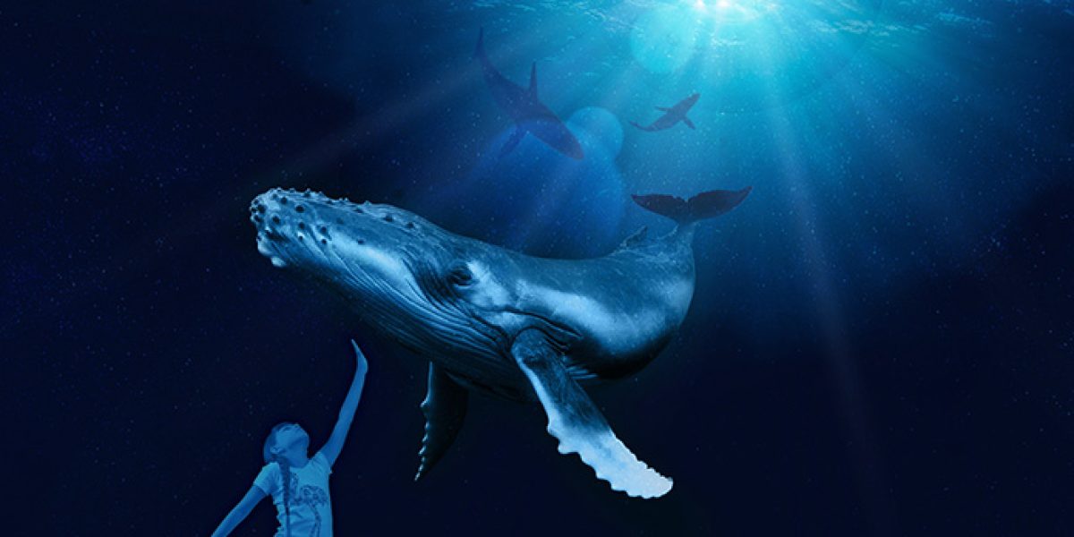 gigantes del oceano