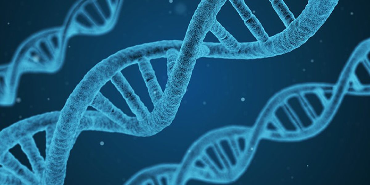 investigación desarrollo cáncer