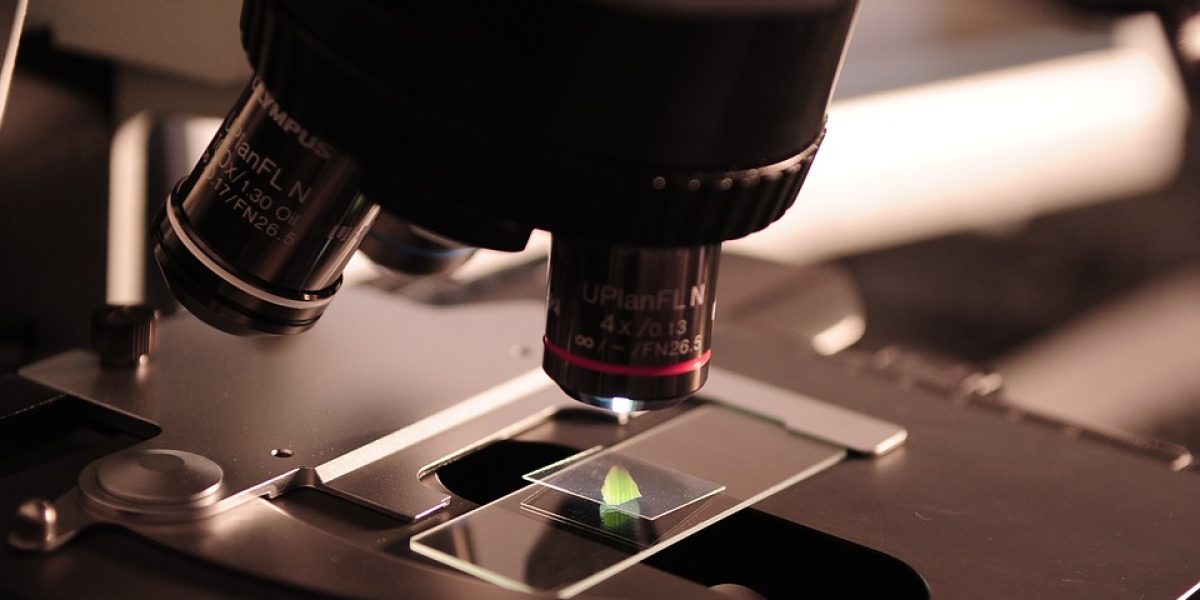biotecnologia industrial ASEBIO