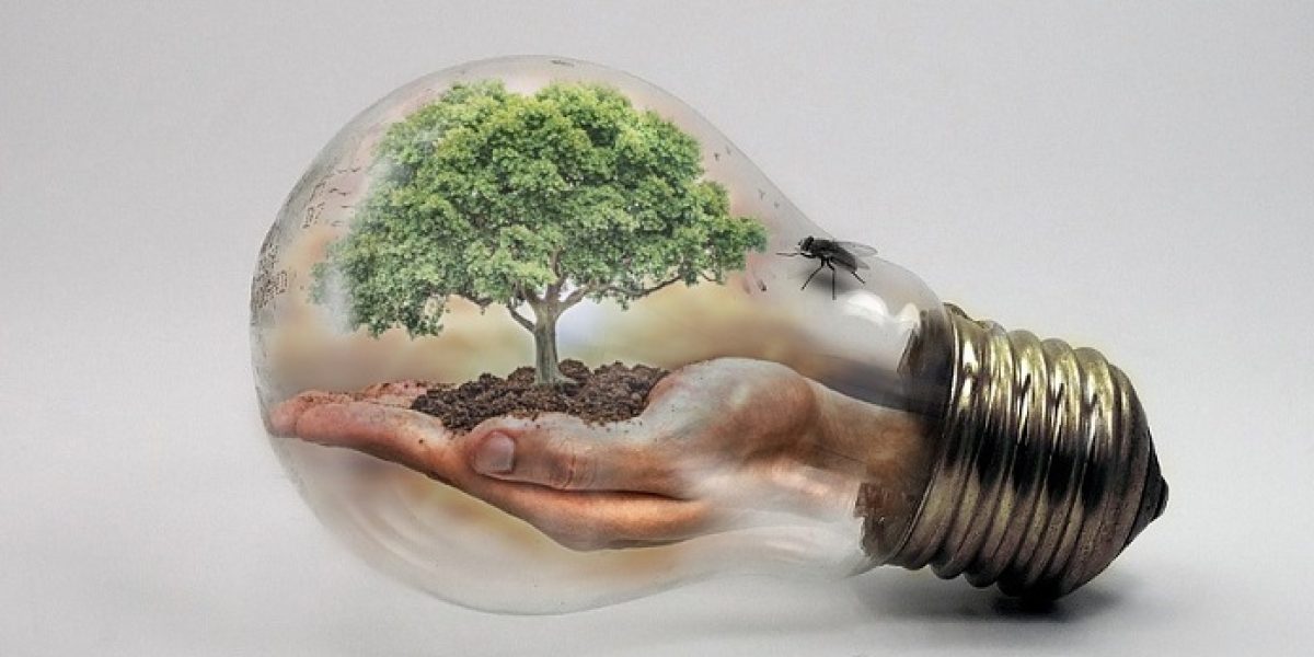 cambio climatico