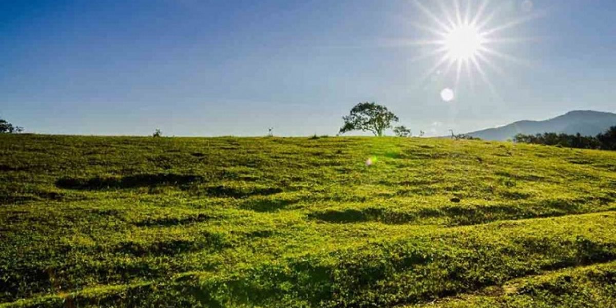 cambio climatico