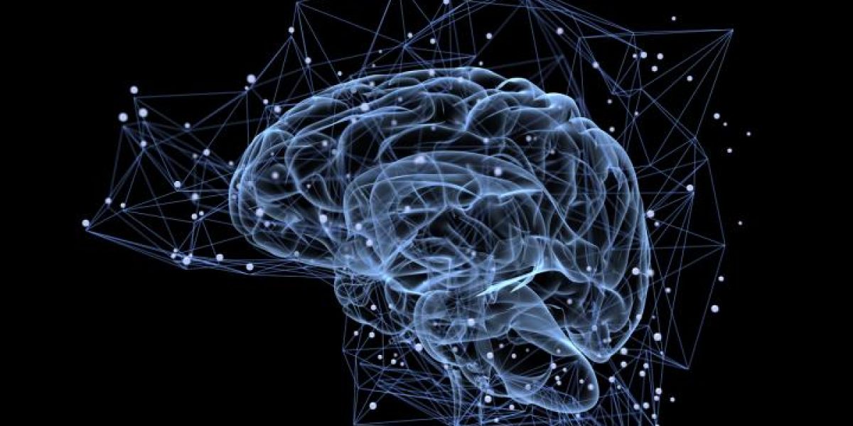 cerebro