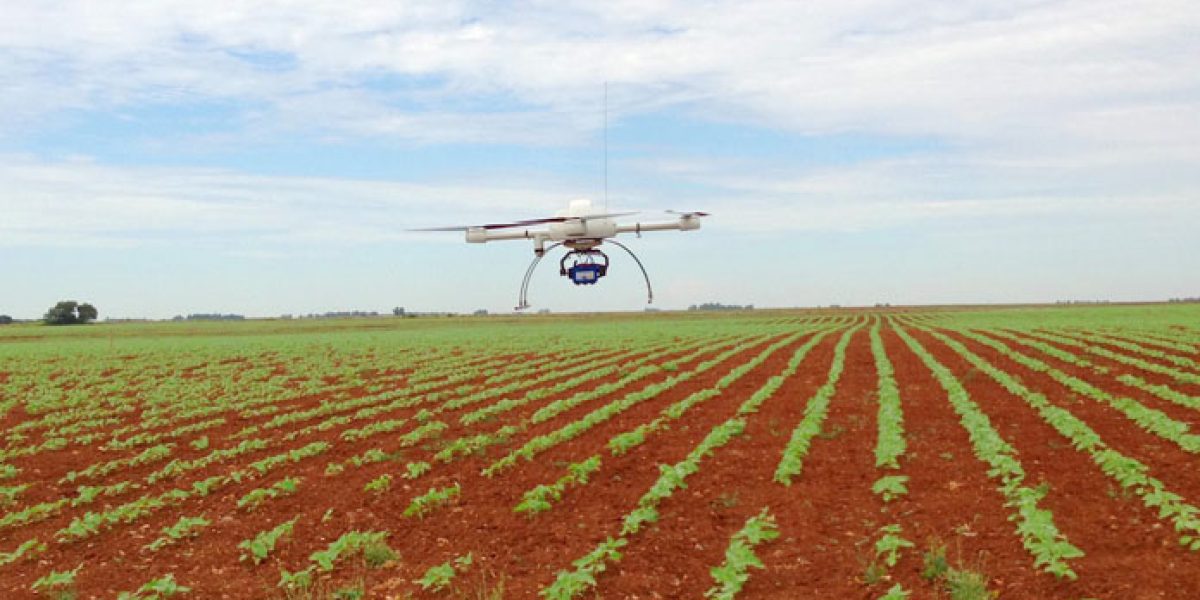 Dron del proyecto imaPing sobrevolando un campo de cultivo (CSIC)