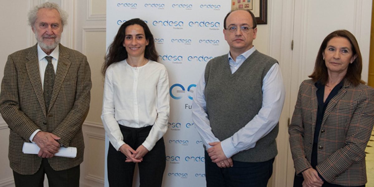 Ecobarómetro Endesa