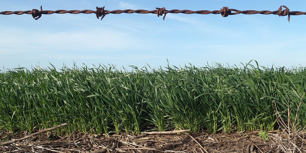 emprendimiento agro