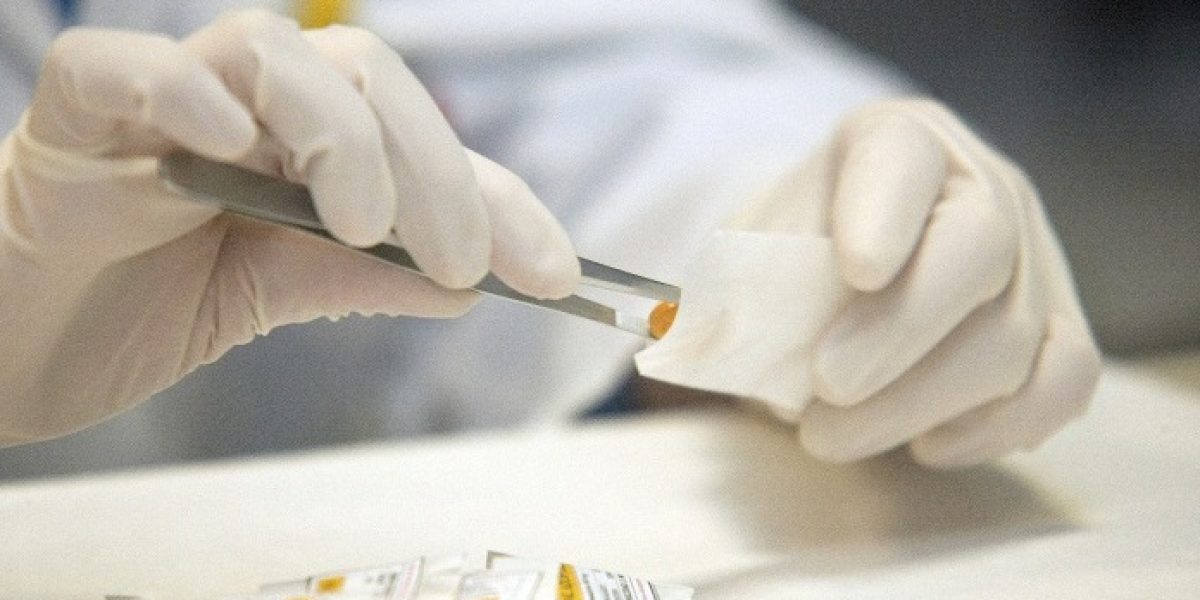 ensayos clinicos nuevos medicamentos