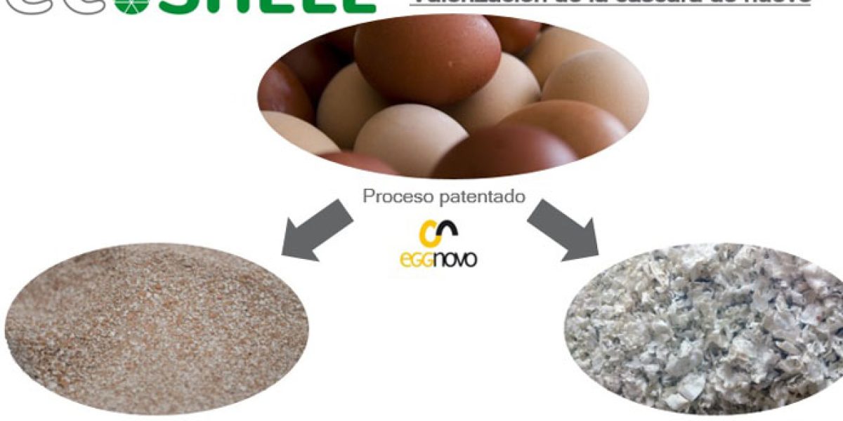 ECO SHELL