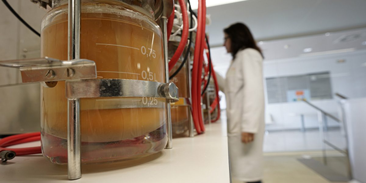 bioproduccion