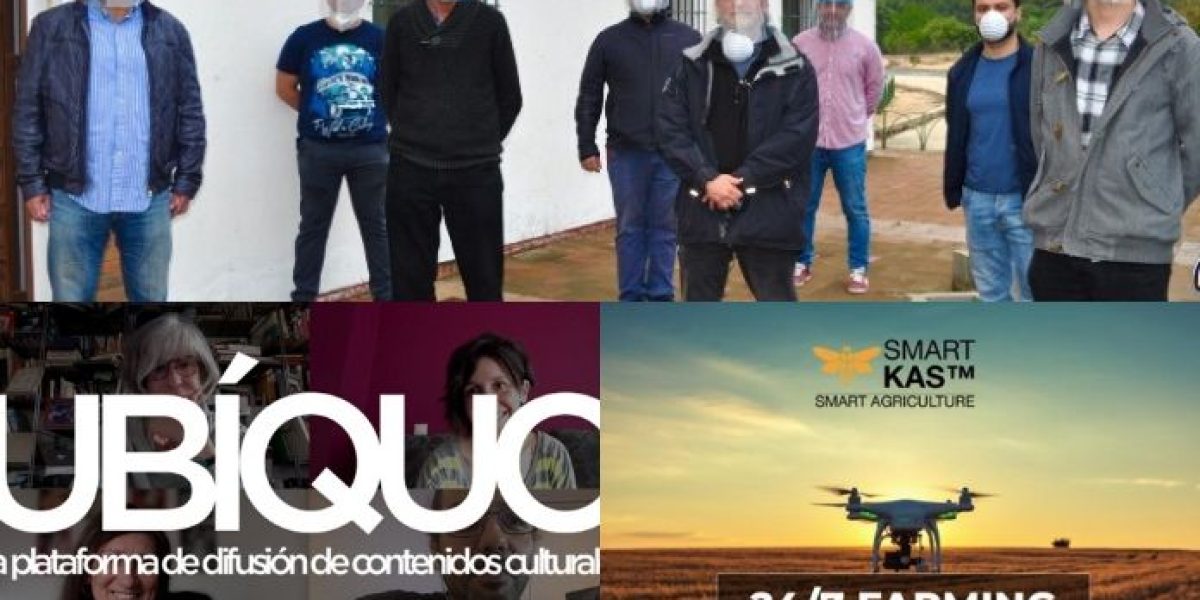 ganadores startup ole