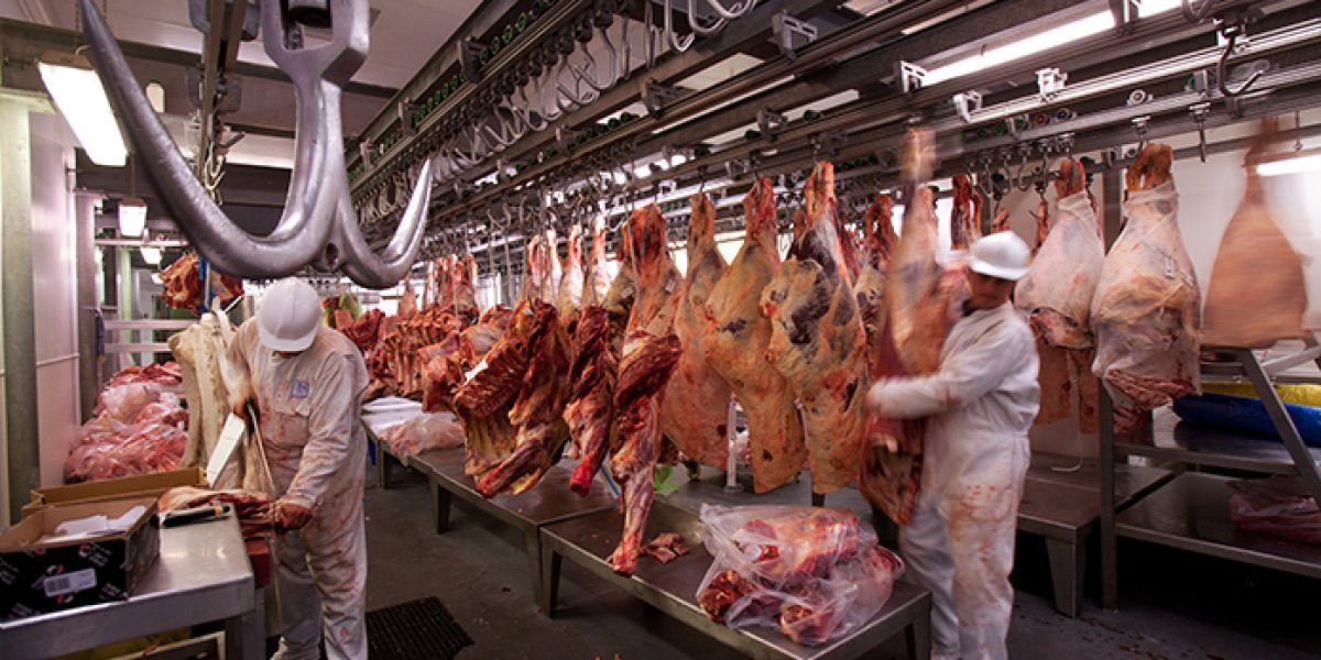industria alimentaria digitalizacion