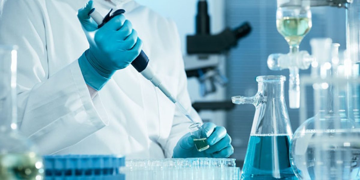 ampliación de plazas en investigación