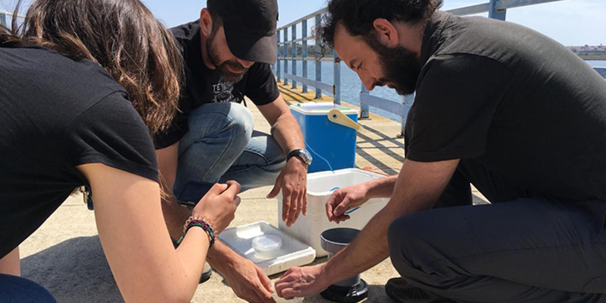 microplasticos proyecto libera