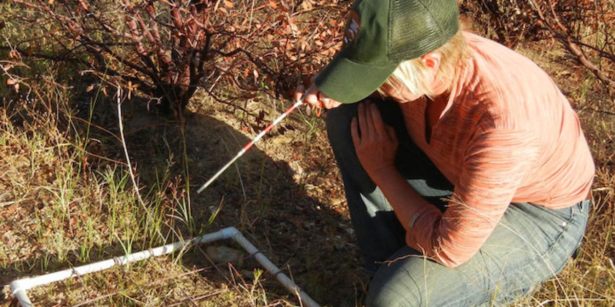 observatorio de la biodiversidad agraria monitorizacion