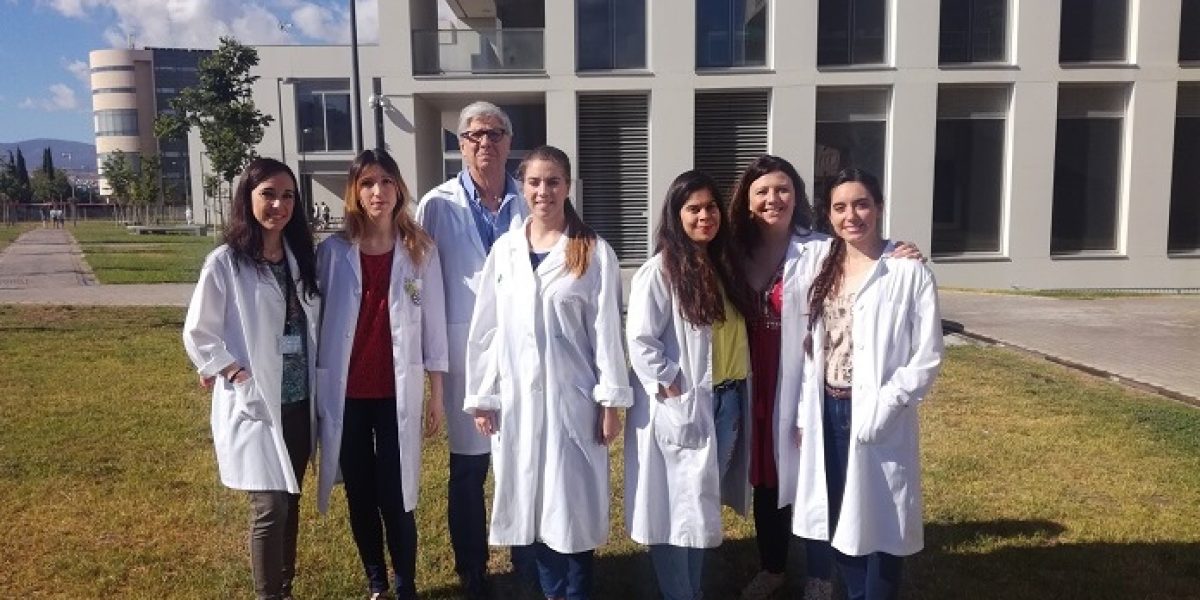 rehabilitacion esclerosis multiple