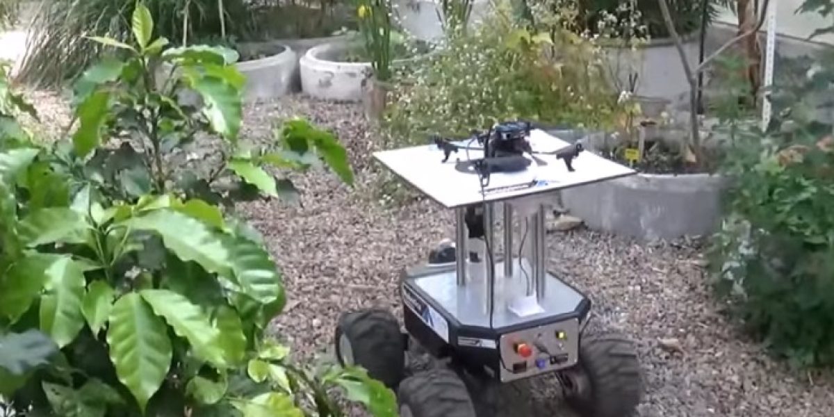 robots e invernaderos