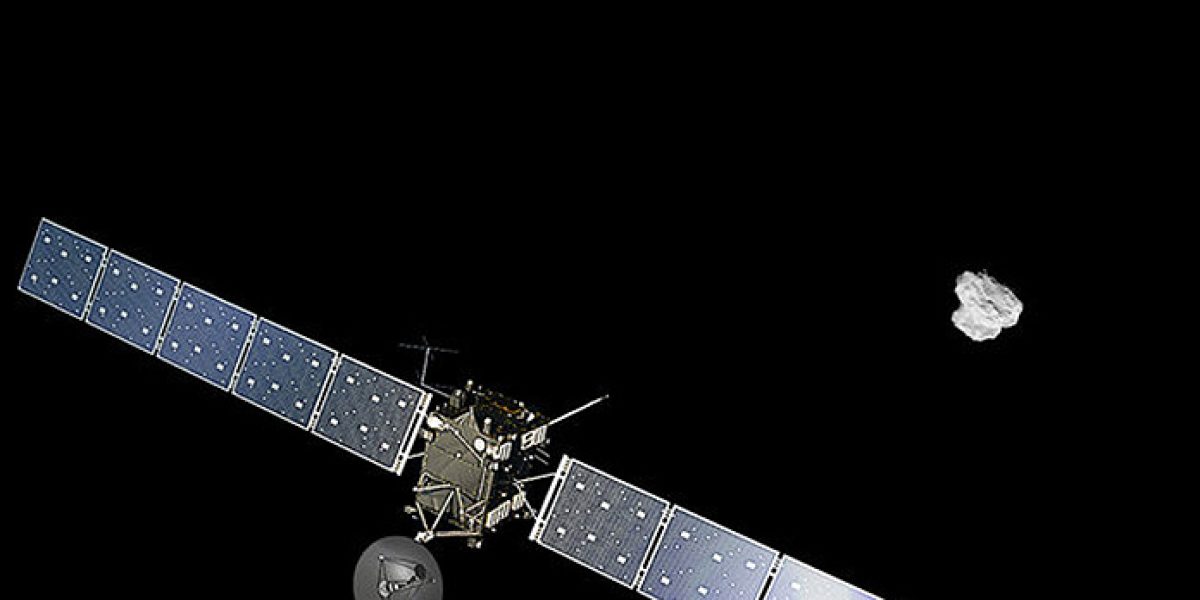 fin Rosetta