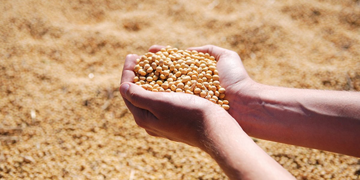 agroalimentacion, caixabank, agro innovaspain