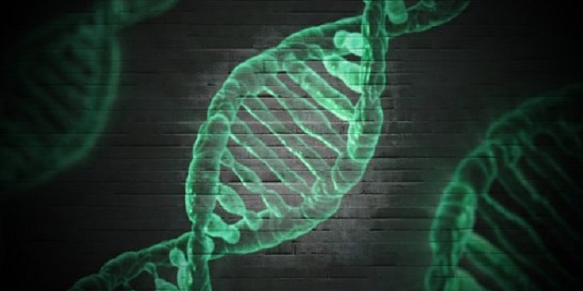variacion genetica Google