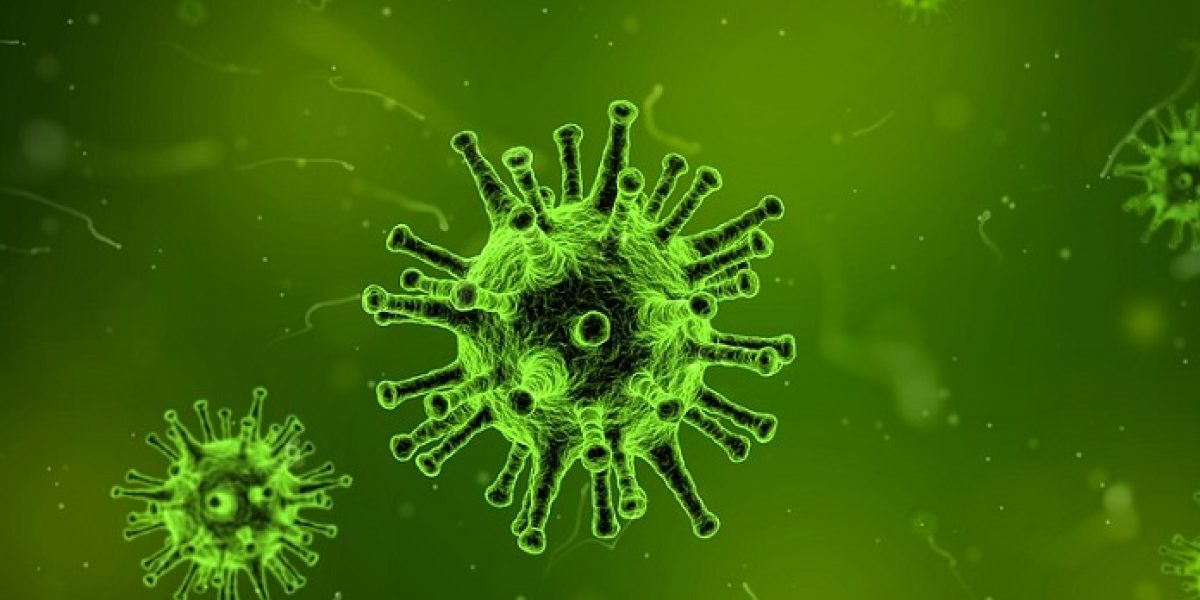 virus gripe